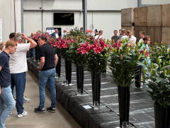 Highlighted image: Nico Vork wint Plasbokaal 2025